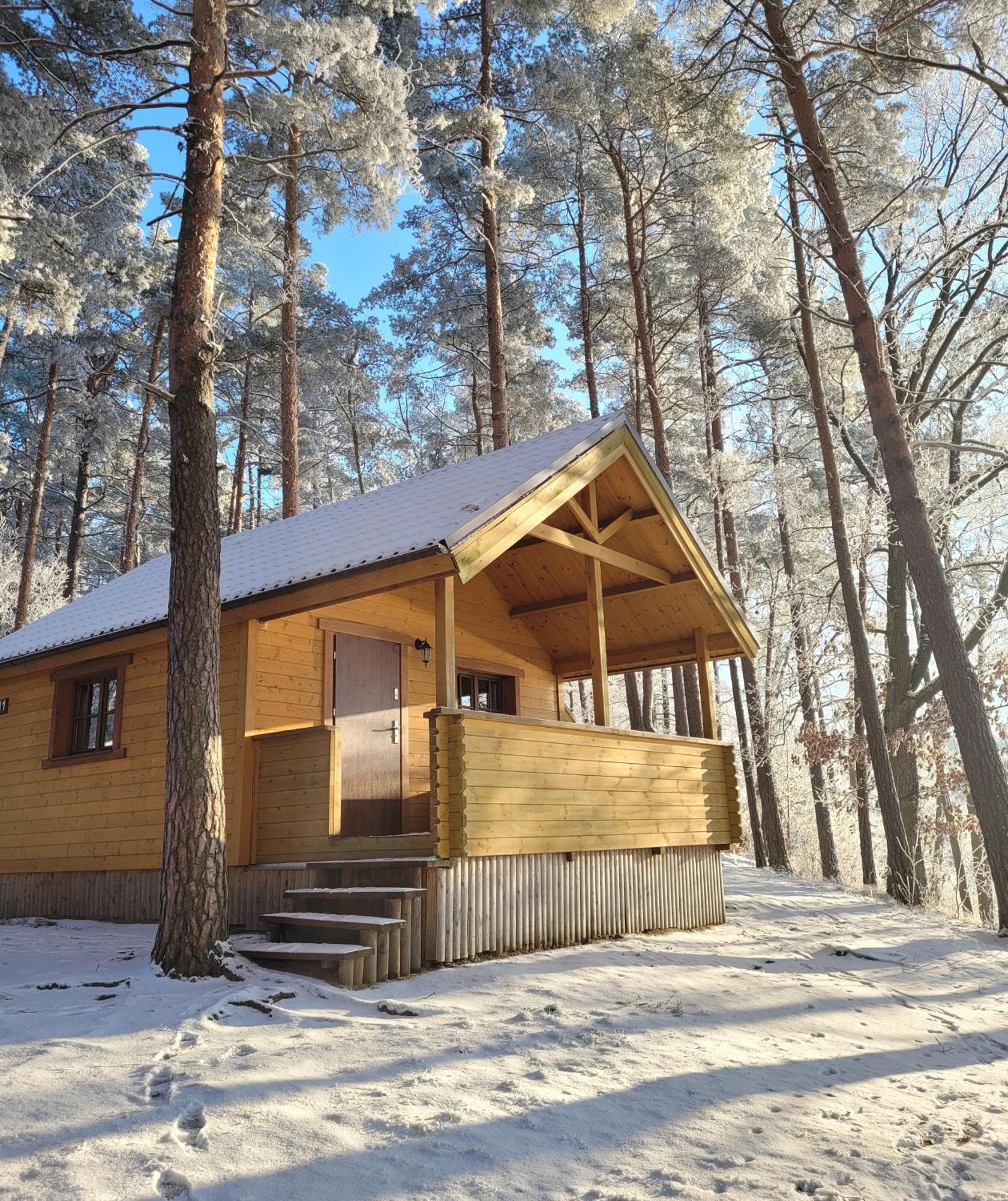 Holiday home Polwysep Lipa Wdzydze Tucholskie
